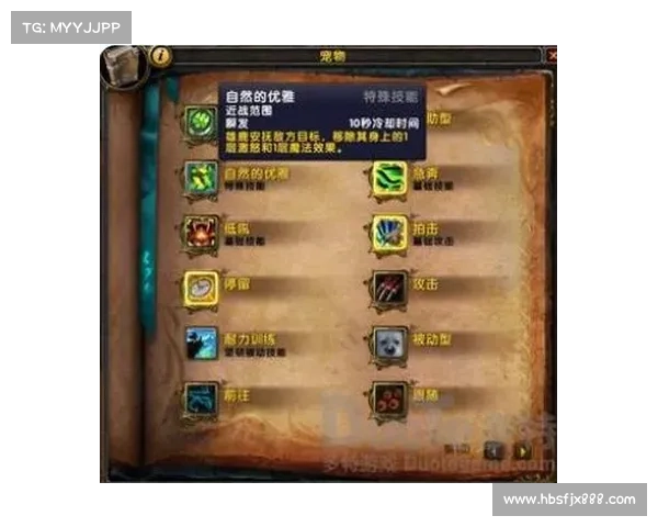 魔兽世界怀旧服：技能操作全攻略